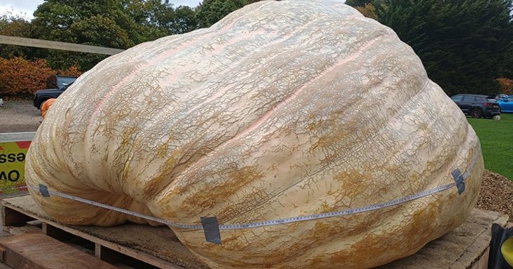 Близнюки виростили найбільший гарбуз на планеті: розмір і вага шокували (фото)