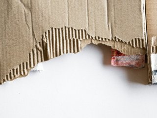 Як зупинити бур’яни без хімії: ефективний спосіб із картоном, який працює з першого разу
