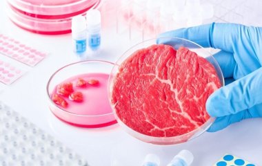 Лабораторія представила перше м'ясо, вирощене у космосі