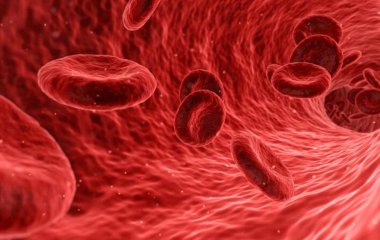 Експерти назвали продукт, який назавжди позбавить холестерину