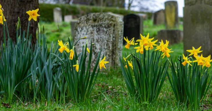 «Не робіть дурниць»: священник Філюк розвінчав популярний міф про квіти на могилах