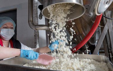 Дієтолог назвала продукт, що покращує метаболізм клітин печінки.