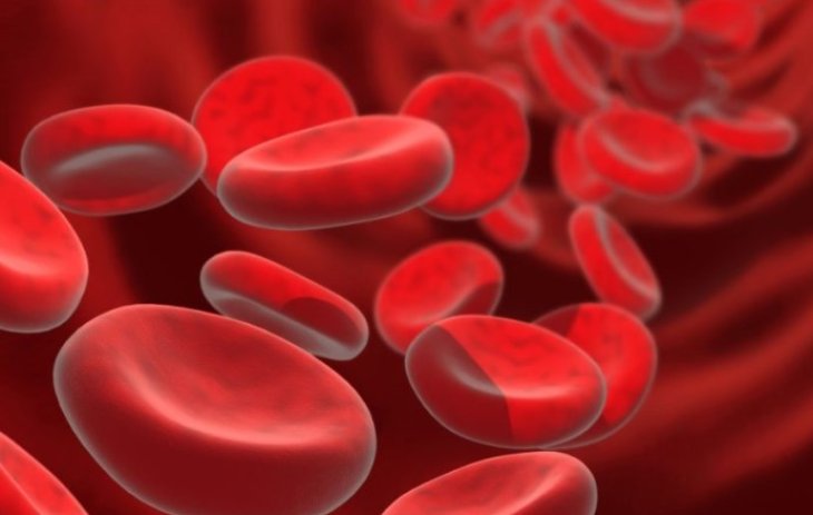 Терапевт пояснила небезпеку підвищеного гемоглобіну