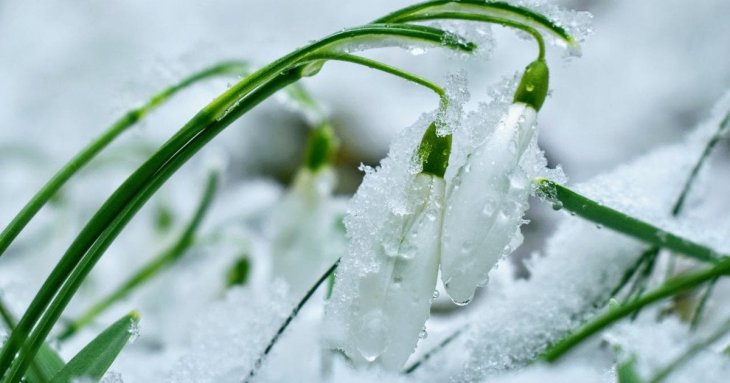 День ангела 3 березня: кого та як вітати з іменинами