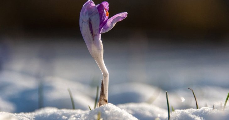 День ангела 2 березня: кого та як вітати з іменинами