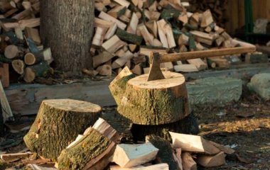 Які дрова краще не використовувати для опалення: поради досвідченого лісника