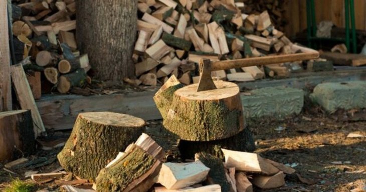 Які дрова краще не використовувати для опалення: поради досвідченого лісника