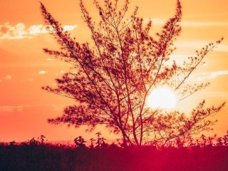 День ангела 12 серпня: кого та як вітати з іменинами