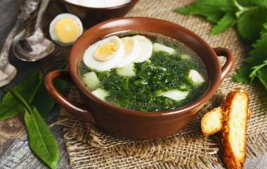 Запас еды на огороде: готовим варенье из одуванчиков и суп из крапивы
