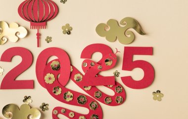 Який колір буде символізувати Новий 2025 рік: в чому зустрічати свято