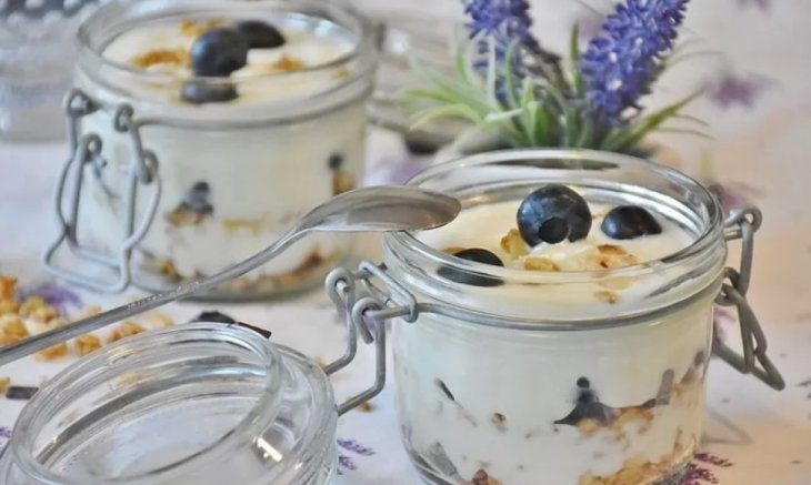Топ-5 продуктів, багатих на пробіотиків