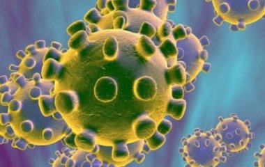 ЗМІ: китайські вчені розробили антикоподібний наноматеріал