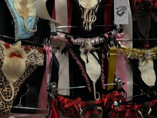 Інфлюенсерка пошила спідню білизну з мертвих щурів і шокувала Мережу (фото)