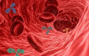П'ять простих способів зміцнити судини