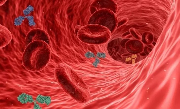 П'ять простих способів зміцнити судини