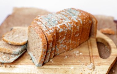 Токсиколог пояснив, чому не можна зрізати плісняву зі зіпсованих продуктів