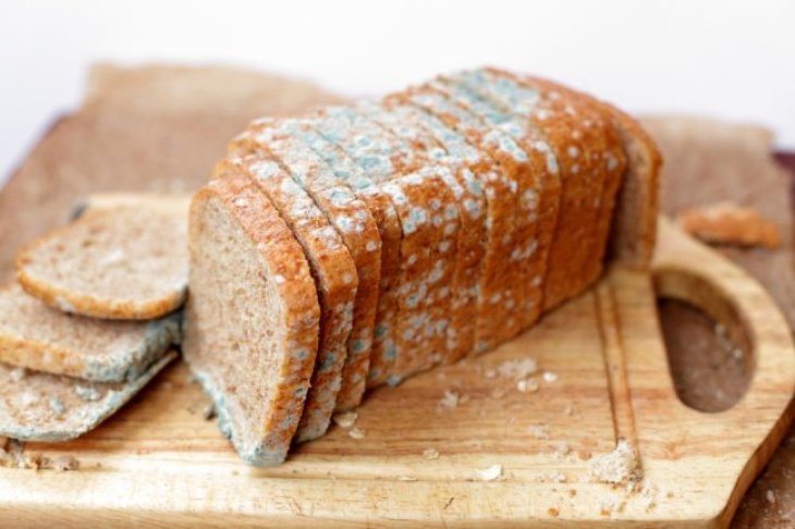 Токсиколог пояснив, чому не можна зрізати плісняву зі зіпсованих продуктів