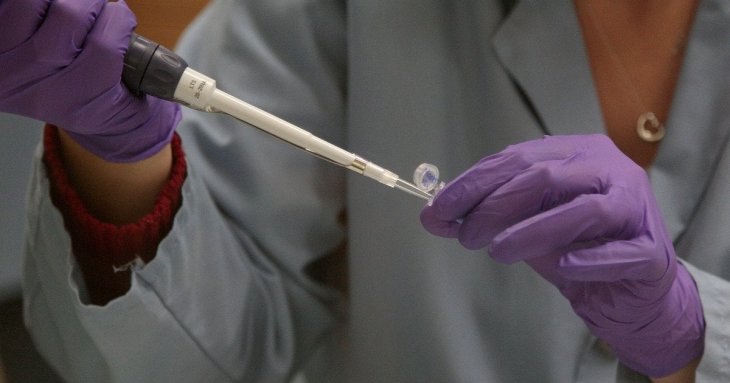 Походження людини переглянули: нове дослідження ДНК змінило теорію