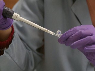 Походження людини переглянули: нове дослідження ДНК змінило теорію