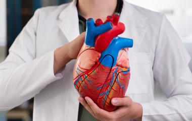 Кардиологи назвали неожиданную причину болезней сердца