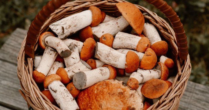 Топ продуктів, які ніколи не можна їсти сирими — запам’ятайте їх