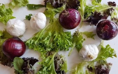 Шість дивовижно корисних властивостей фіолетової цибулі