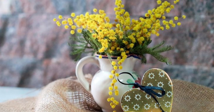 Чому краще відмовитися від букетів мімози на 8 Березня: чим небезпечний такий подарунок