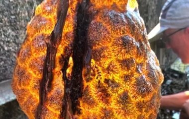 Із річки витягли химерний помаранчевий 