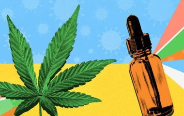 Кращі олії CBD: Переваги, використання та вибір