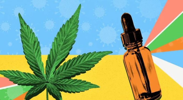 Кращі олії CBD: Переваги, використання та вибір