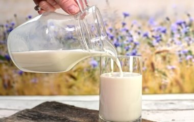 Можно ли замораживать молоко? Как его правильно хранить в морозилке