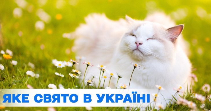 Яке завтра, 14 червня, свято — все про цей день, яке церковне свято, що не можна робити