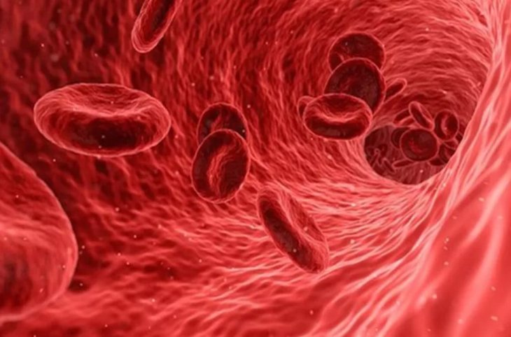 Як підвищити рівень гемоглобіну без дорогих ліків