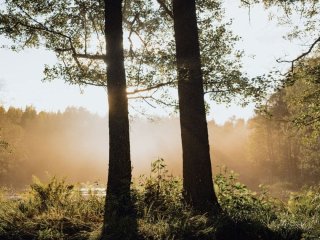 День ангела 7 вересня: кого та як вітати з іменинами