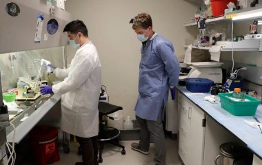 У мозку виявили нейрони, що викликають депресію при відмові від алкоголю.