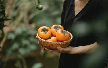 Чому хурма особливо корисна для людей похилого віку