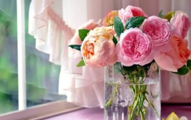 Щоб зрізані квіти стояли у вазі у два рази довше, додайте цей аптечний засіб
