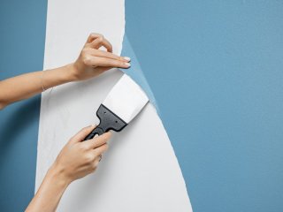Перевірено прості методи, як швидко зняти старі шпалери