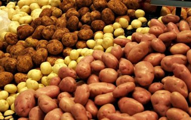 Опасность на тарелке: врачи объяснили, чем может быть вреден картофель
