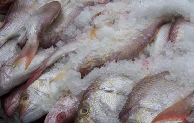 Як швидко розморозити рибу — і не перетворити її на кашу