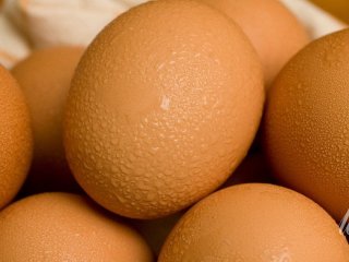 Як заморозити яйця на цілий рік: важливе правило, про яке багато хто не знає