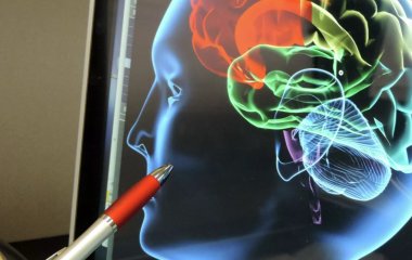 Знайдено гени, що захищають від деменції