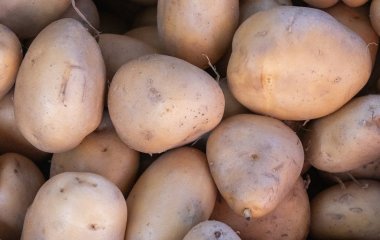 Жінка забула про картоплю на пів року — те, що вона знайшла, налякало Мережу