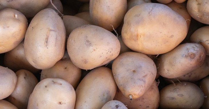 Жінка забула про картоплю на пів року — те, що вона знайшла, налякало Мережу