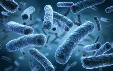 Вчені розповіли, на які епідемії слід чекати найближчим часом