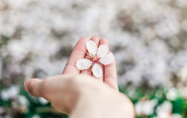 День ангела 3 квітня: кого та як вітати з іменинами