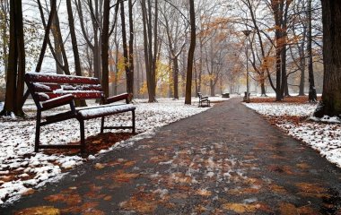 Мокрий сніг та ожеледиця: якою буде погода в Україні 15 листопада