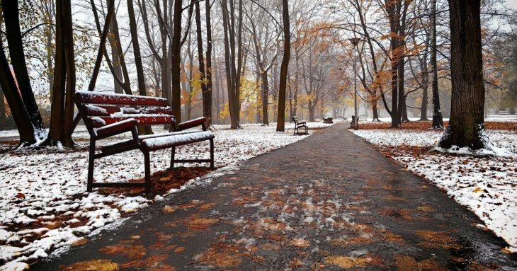 Мокрий сніг та ожеледиця: якою буде погода в Україні 15 листопада