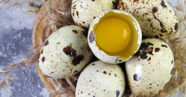 Перепелині яйця — чим корисні, скільки калорій містять і чим кращі за курячі