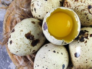 Перепелині яйця — чим корисні, скільки калорій містять і чим кращі за курячі